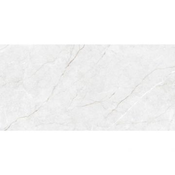 Керамогранит Global Tile (Глобал Тайл) Agidel светло-серый матовый 60x120 см, GT1206022206MGR