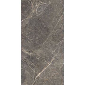 Керамогранит Global Tile (Глобал Тайл) Salsa Темно-серый матовый 60x120 см, GT1206023109MGR