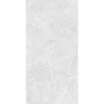 Керамогранит Global Tile (Глобал Тайл) Solis светло-серый матовый 60x120 см, GT1206017596MR