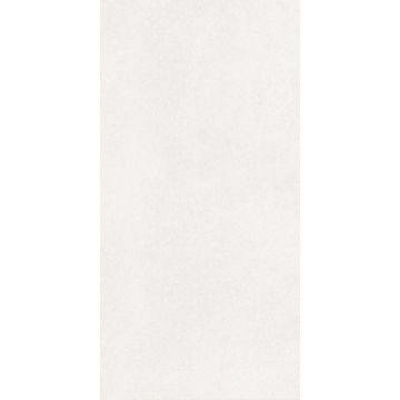 Керамогранит Global Tile (Глобал Тайл) Harmony Белый матовый 60x120 см, GT1206014103MR