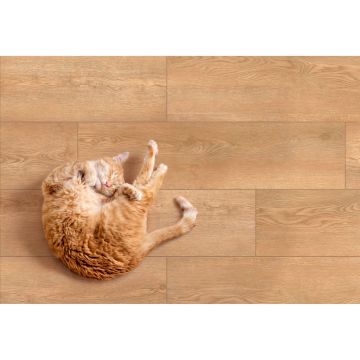 Керамогранит Global Tile (Глобал Тайл) Kronborg бежевый матовый 19,8x80 см, GT208021302MСR