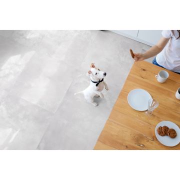 Керамогранит Global Tile (Глобал Тайл) Vibe Светло-серый матовый 60x60 см, GT60603206MR-3