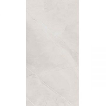 Керамогранит Belleza (Беллеза) Armani Harbor Silver (Glossy) 60х120 см, глянцевый, СК000043622