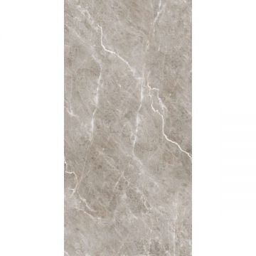 Керамогранит Belleza Burgass Brown (Carving) 60х120 см, СК000042807
