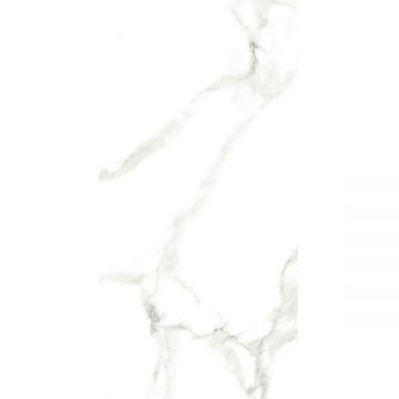 Керамогранит Belleza Statuario Silk (Glossy) 60х120 см, СК000043629