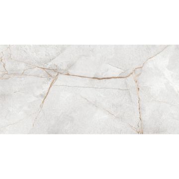 Керамогранит LCM (ЛКМ) Special Marmo Gray полированный 60х120 см 60120PEC15P