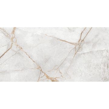 Керамогранит LCM (ЛКМ) Special Marmo Gray полированный 60х120 см 60120PEC15P