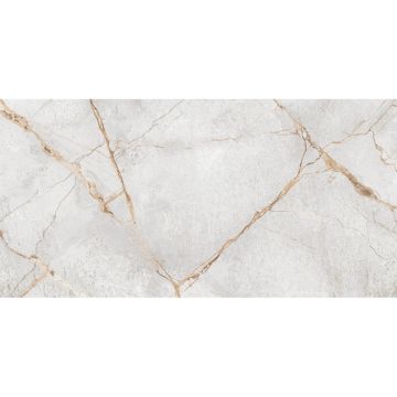 Керамогранит LCM (ЛКМ) Special Marmo Gray полированный 60х120 см 60120PEC15P