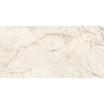 Керамогранит LCM Wonderfull полированный 600х1200 мм 60120WOF01P