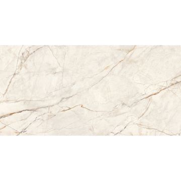 Керамогранит LCM Wonderfull полированный 600х1200 мм 60120WOF01P