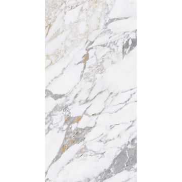 Керамогранит Modern Tile (Модерн Тайл) Arbescato Silver 60х120 см
