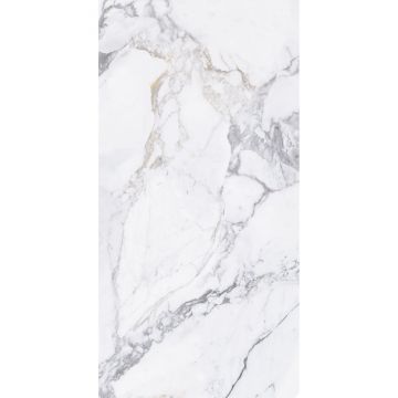 Керамогранит Modern Tile (Модерн Тайл) Arbescato Silver 60х120 см