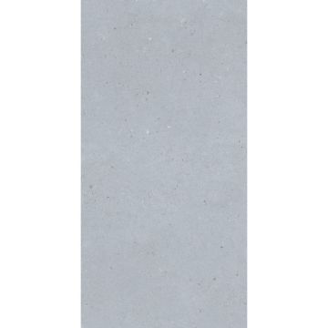 Керамогранит Modern Tile (Модерн Тайл) Artis Silver 60x120 Carving