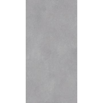 Керамогранит Modern Tile (Модерн Тайл) Leonessa Silver 60x120 Matt