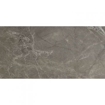 Керамогранит Modern Tile (Модерн Тайл) Zanetta Grey 60x120 Glossy
