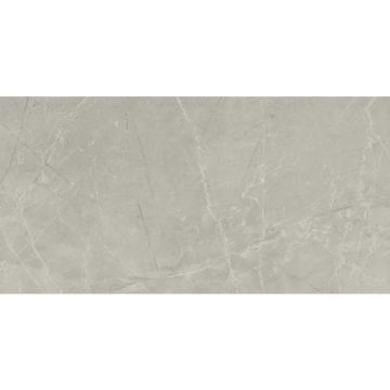 Керамогранит Baldocer (Балдокер) Bayona Silver Pulido 60х120 см