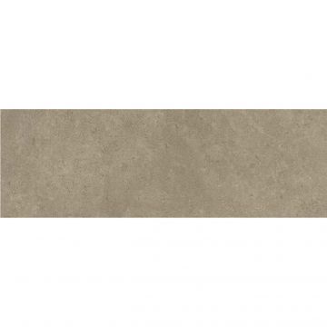 Керамическая плитка Baldocer (Балдокер) Icon Taupe 30х90 см