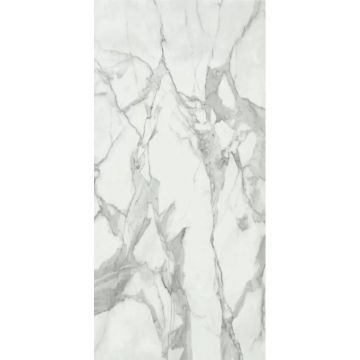 Керамогранит Baldocer (Балдокер) Invictus Pulido 12х26 см