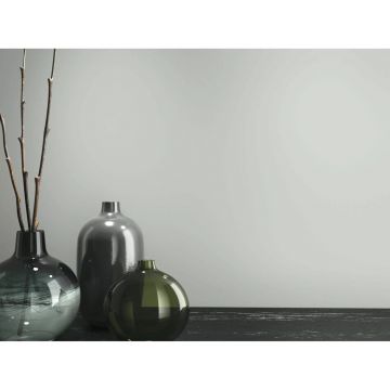 Керамогранит Baldocer (Балдокер) Silver Pulido 120х260 см