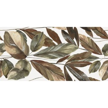 Керамогранит Baldocer (Балдокер) Neve Satin Rect. Giardino 60x120 см