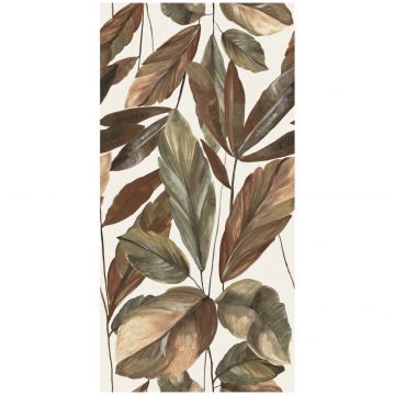 Плитка Балдокер Neve Satin 120х60 см белая, коричневая сатинированная, Giardino Rect, Baldocer
