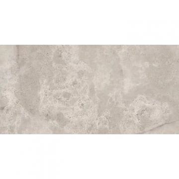 Керамогранит Prime Ceramics (Прайм Керамикс) Victoria Grey 120х60 см ректификат матовый