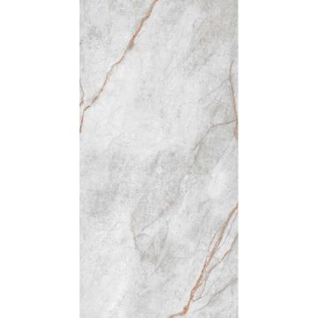 Керамогранит Eurotile (Евротаил) Imola 783 pol 60x120 см (783 IMU1GY)