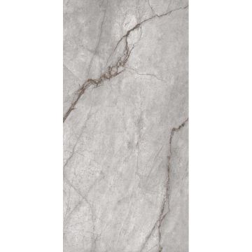 Керамогранит Eurotile (Евротаил) Imola 815 mat 60x120 см (815 IMU1GY)