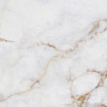 Керамогранит Eurotile Rus (Евротаил Рус) Bella Bianco Pol 60x60 см, 7930138705382