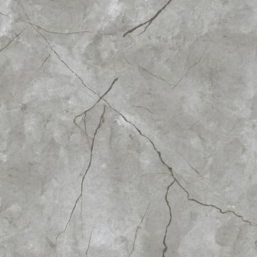 Керамогранит Eurotile Rus (Евротаил Рус) Kanpur Matt 60x60 см, 7930138704859