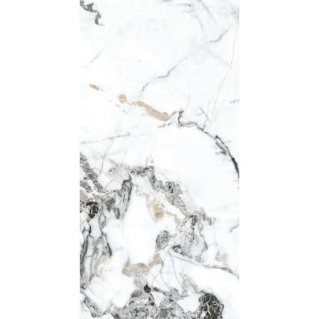 Керамогранит Basconi Home (Баскони Хоме) Bianco Gold Full Body-2 Polished Белый 60x120x0.8 см, BHW-0035-2