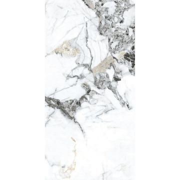 Керамогранит Basconi Home (Баскони Хоме) Bianco Gold Full Body-3 Polished Белый 60x120x0.8 см, BHW-0035-3