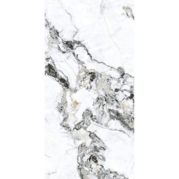Керамогранит Basconi Home (Баскони Хоме) Bianco Gold Full Body-6 Polished Белый 60x120x0.8 см, BHW-0035-6