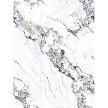 Керамогранит Basconi Home (Баскони Хоме) Bianco Gold Full Body-6 Polished Белый 60x120x0.8 см, BHW-0035-6