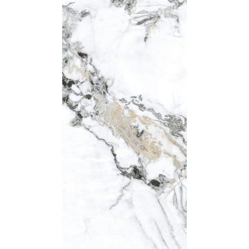 Керамогранит Basconi Home (Баскони Хоме) Bianco Gold Full Body-1 Polished Белый 60x120x1 см, BHW-0035-1(10)