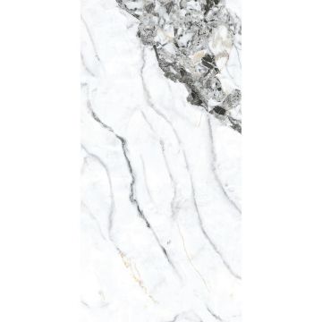 Керамогранит Basconi Home (Баскони Хоме) Bianco Gold Full Body-5 Polished Белый 60x120x1 см, BHW-0035-5(10)