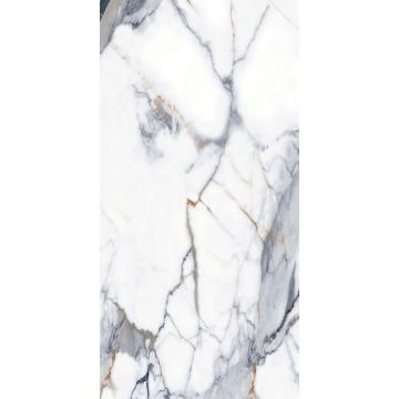 Керамогранит Basconi Home (Баскони Хоме) Calacatta Gold Серый 60х120 см BHM-5002