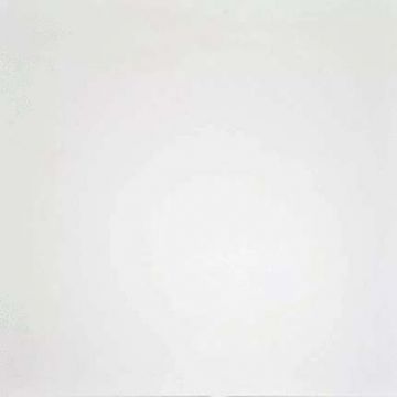 Керамогранит Dako (Дако) Monocolor 60x60 см, E-100/MR/600x600x9 ректификат