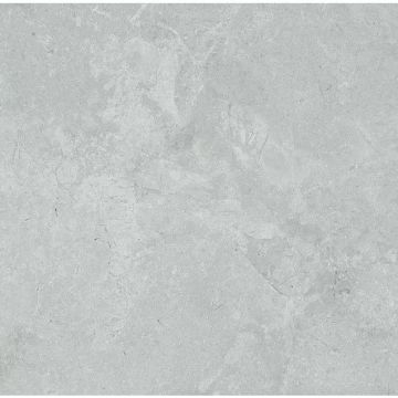 Керамогранит Dako (Дако) Legend E-5001 матовый ректификат 60x60 см