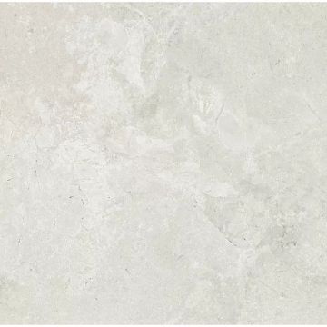 Керамогранит Dako (Дако) Legend E-5000 матовый ректификат 60x60 см