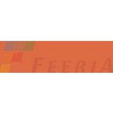 Керамогранит Грани Таганая (Grani Taganaya) Feeria Морковно-оранжевый матовый 60х60 см, GTF453М