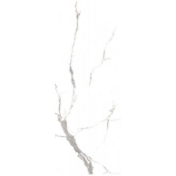 Керамогранит Факхар Calcatte 120х60 см белый матовый, Matt 61w1220a, Fakhar