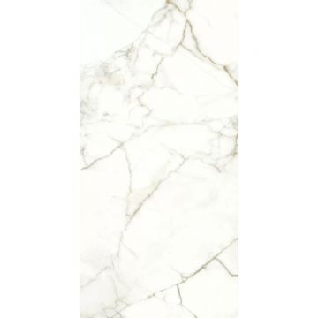 Керамогранит Naxos Rhapsody emotion levigato 60х120 см (117782)