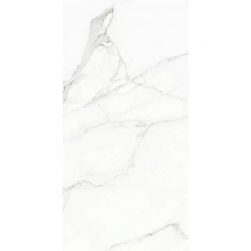 Керамогранит Naxos Rhapsody white beauty 60х120 см (120126)