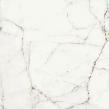 Керамогранит Naxos (Наксос) Rhapsody white fun levigato 60х60 см (117466)