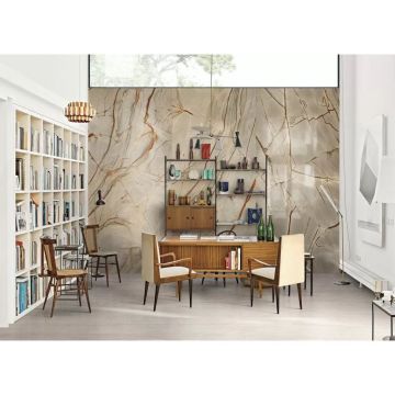 Керамогранит Casa dolce casa (Казе дольче каза) Nature mood rainforest glossy 60х120 см, глянцевый (775101)