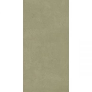 Керамогранит Imola (Имола) Retina RTN6 MENTA12 RM 60x120 см