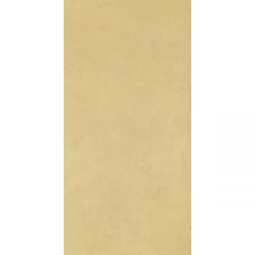 Керамогранит Imola (Имола) Retina RTN6 SENAP12 RM 60x120 см