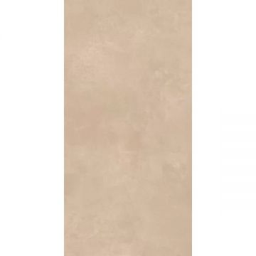 Керамогранит Imola (Имола) Retina RTN6 TERRA12 RM 60x120 см