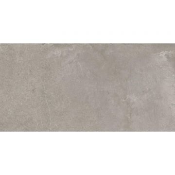 Керамогранит Imola (Имола) Stoncrete STCR 12AG RM 60x120 см